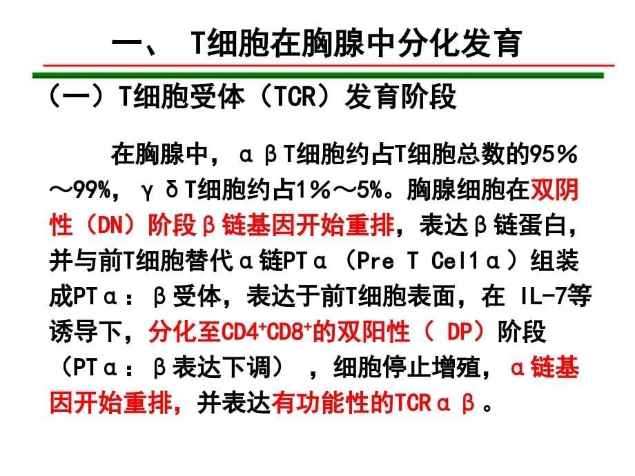 T淋巴细胞PPT精品医学课件_第5页