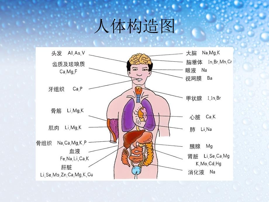 高中必修五汉语第七课奇妙的人体.ppt_第2页