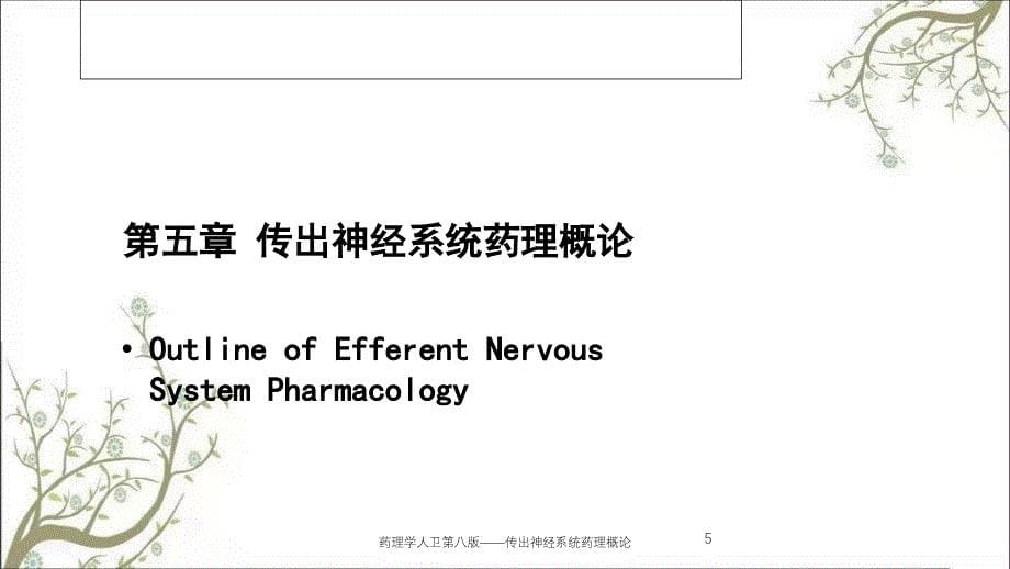 药理学人卫第八版——传出神经系统药理概论_第5页