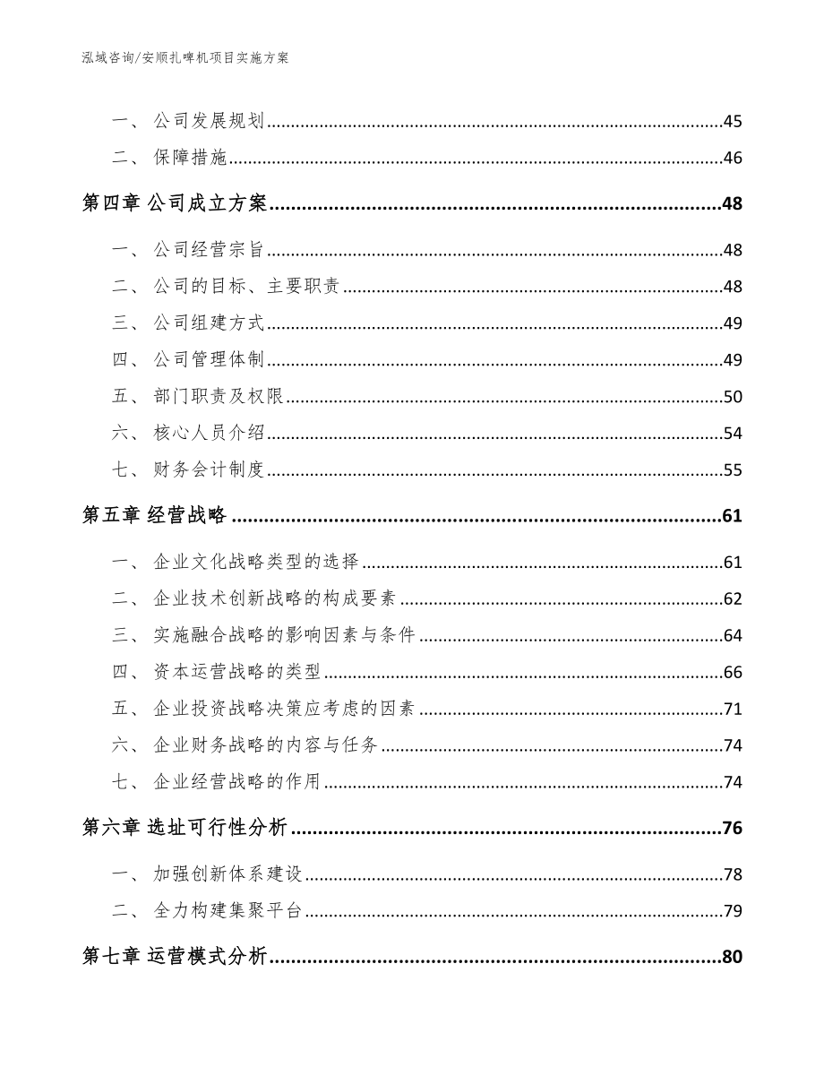 安顺扎啤机项目实施方案_第2页