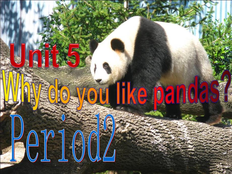 Unit5Whydoyoulikepanderiod2_第1页