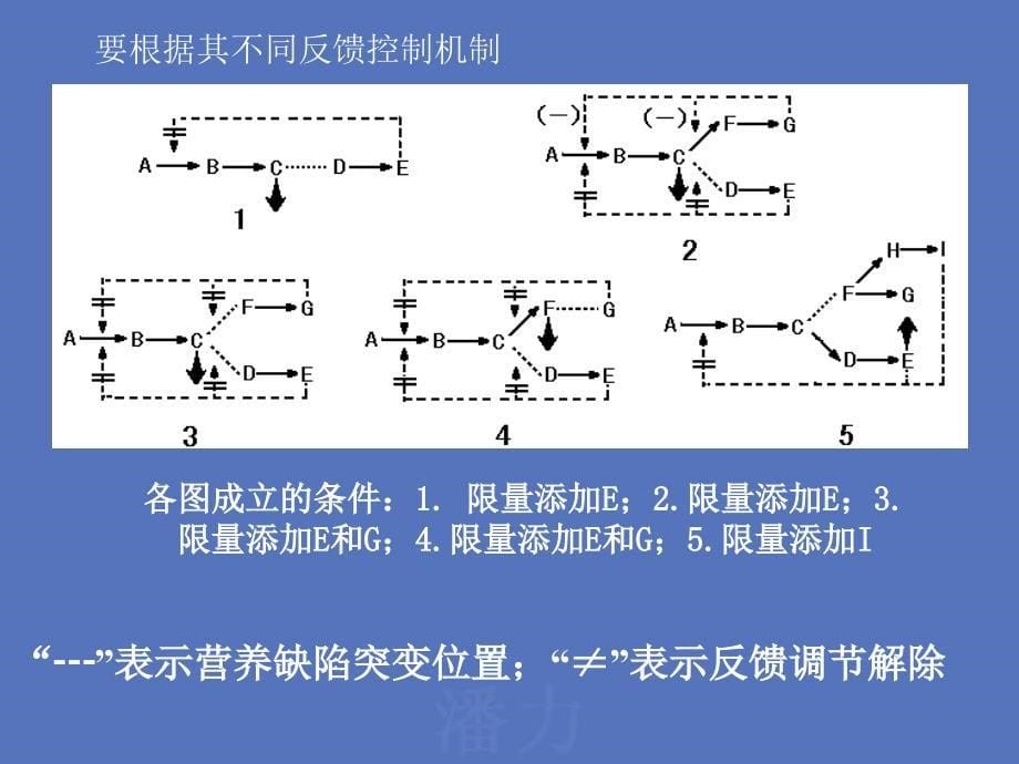 代谢人工控制及其在发酵工业中应用_第5页