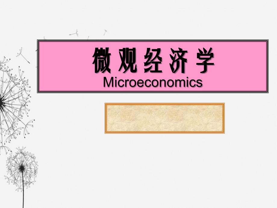 微观经济学的要点_第2页