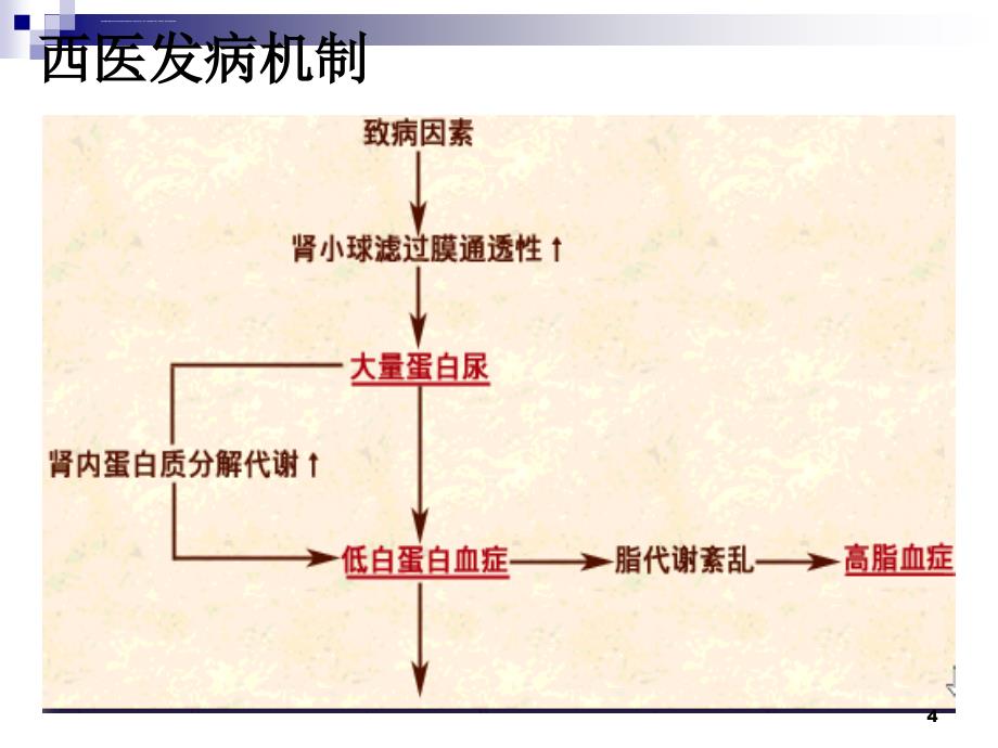 肾病综合症PPT课件_第4页