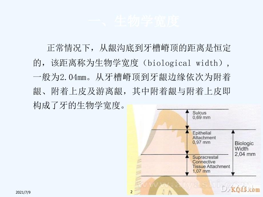 排龈技术教学课件_第2页