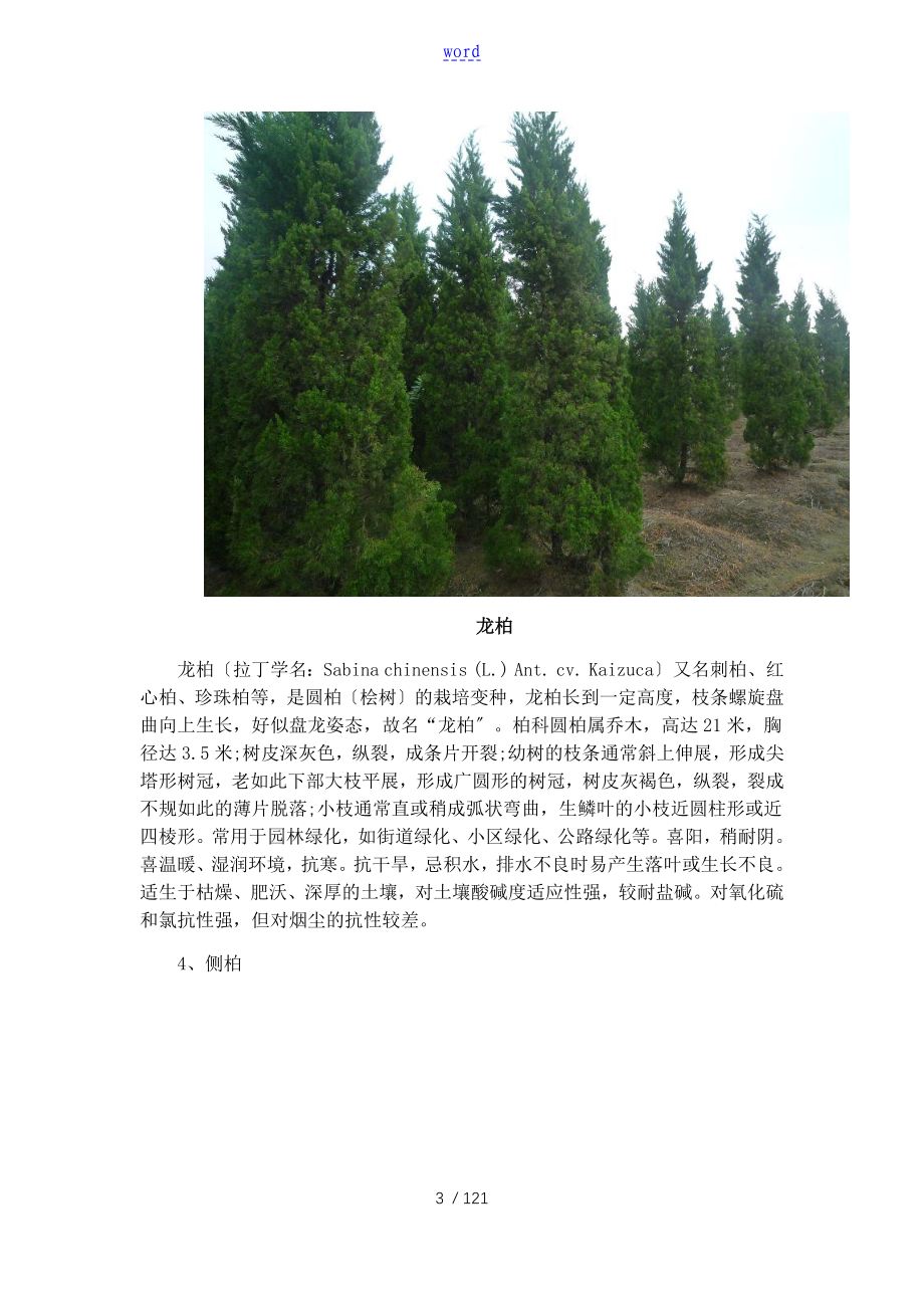 北方常见绿化植物简介(图文)_第3页