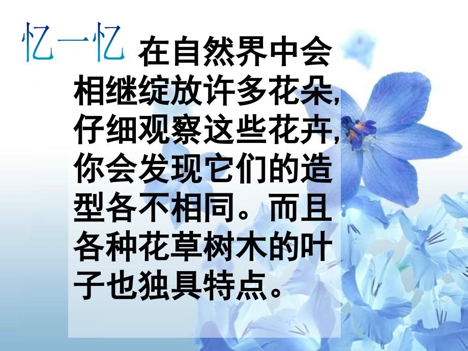 美丽的纹样_第3页