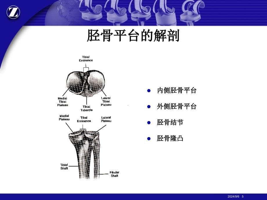 膝关节解剖精品ppt课件_第5页