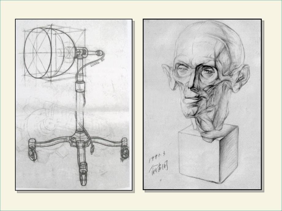 结构素描通用课件_第5页