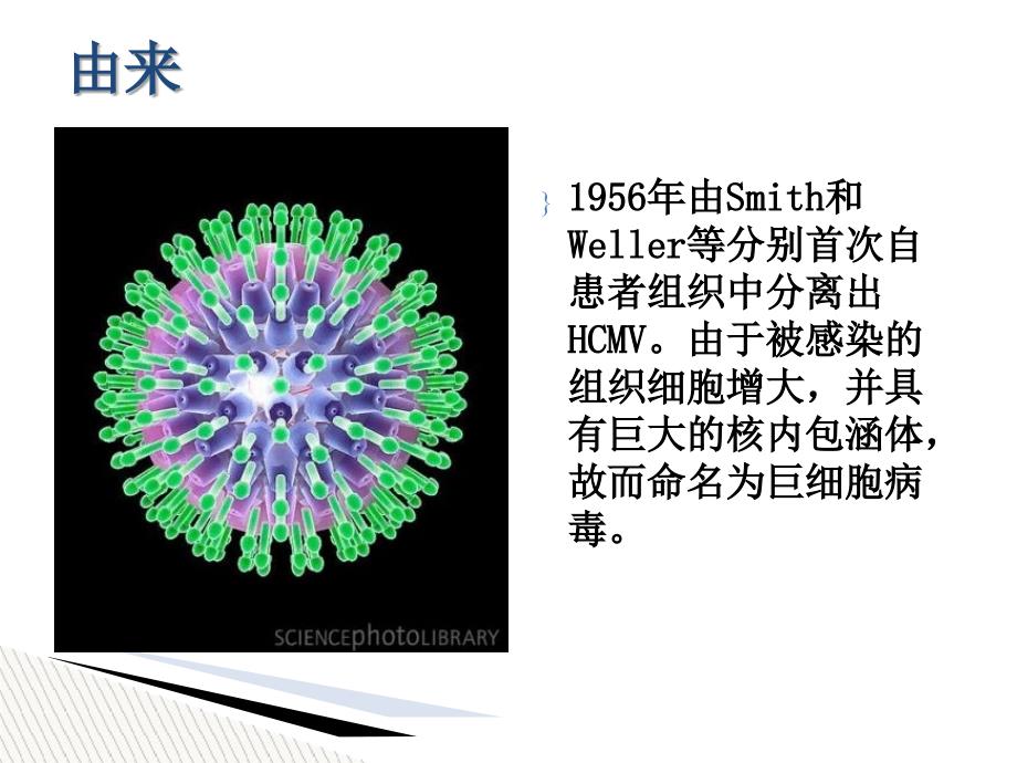 儿童巨细胞病毒性疾病诊断和防治_第2页