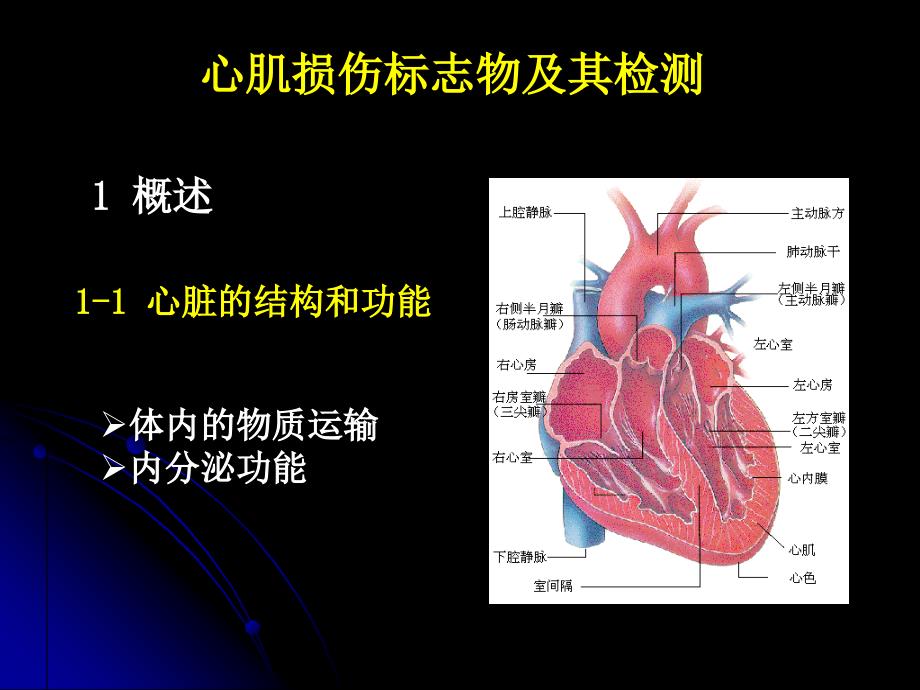 心脏损伤标志物与肾脏病常用的实验室检查_第2页