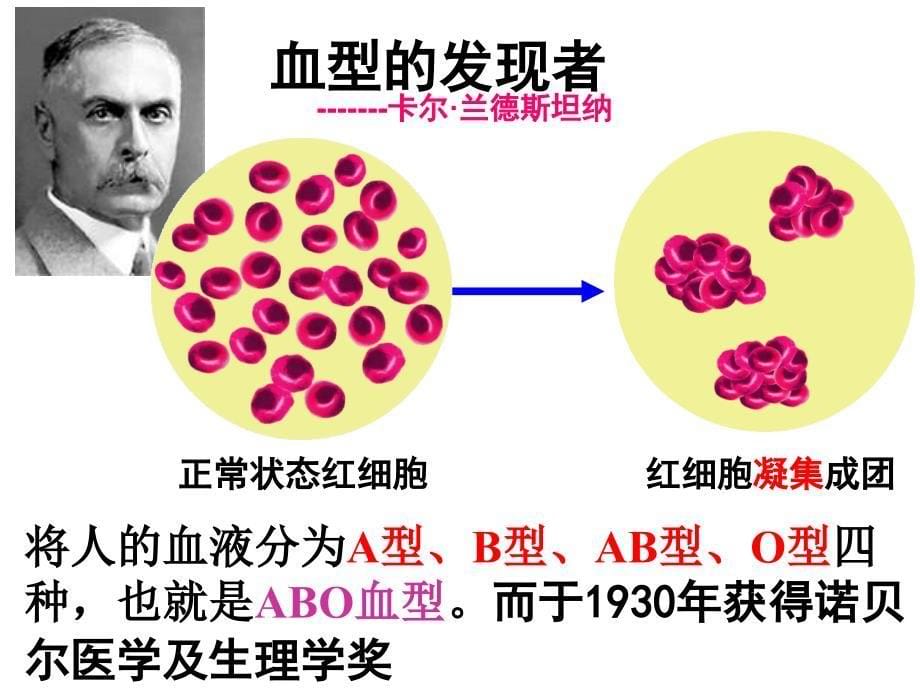 输血及血型上课用课件_第5页