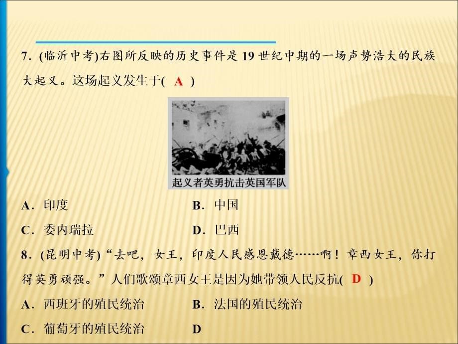 部编版历史殖民地人民的反抗与资本主义制度的扩展课件_第5页