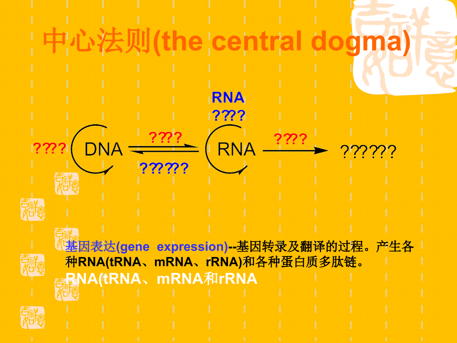 典型乳糖操纵子的诱导原理_第2页