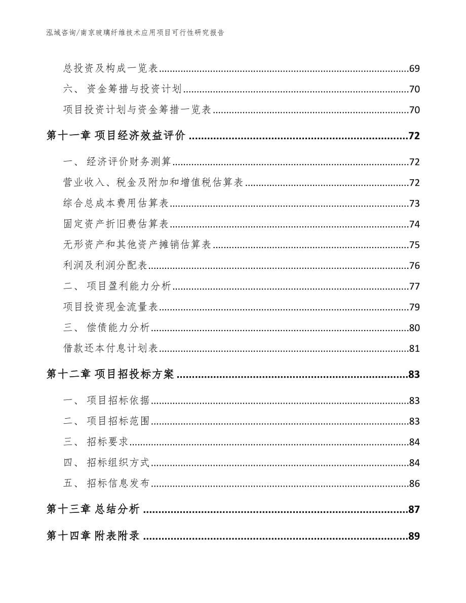 南京玻璃纤维技术应用项目可行性研究报告_第5页