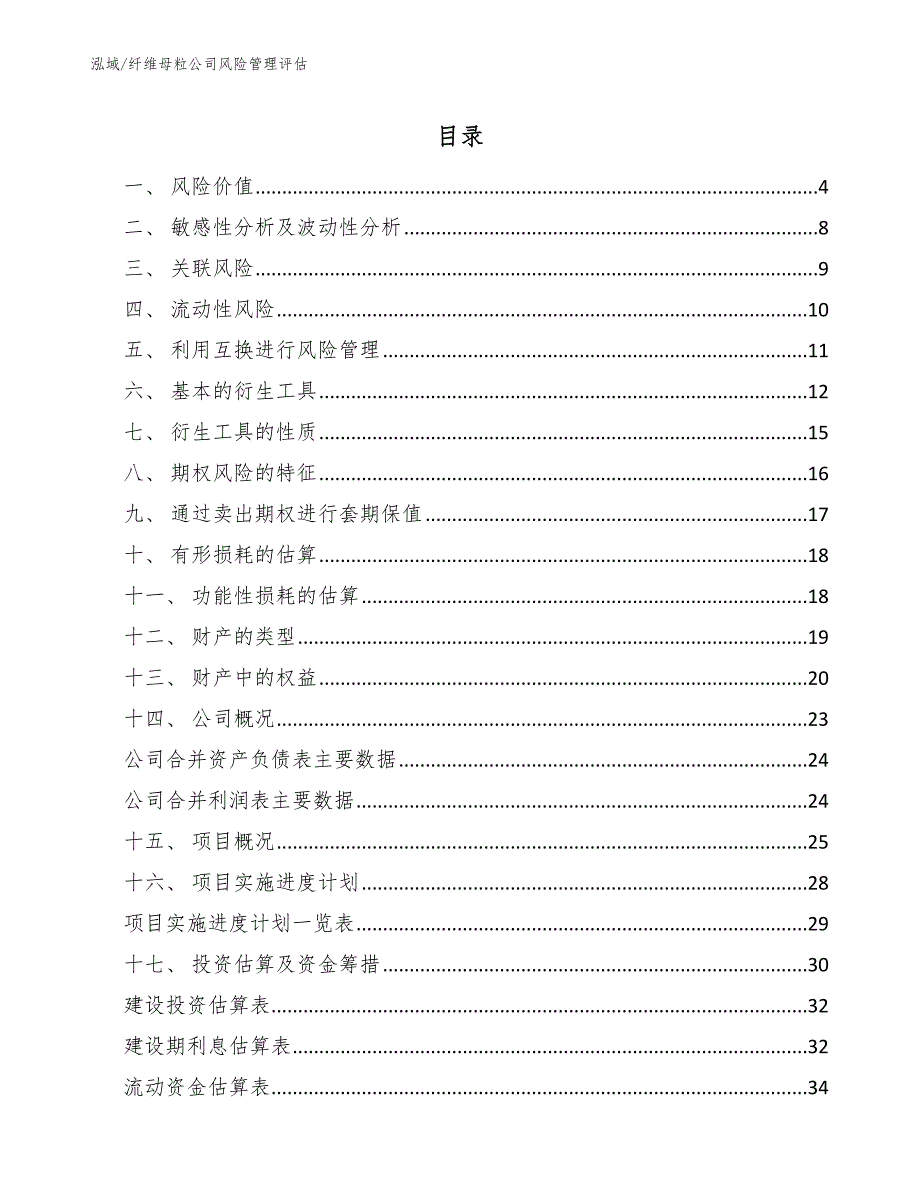 纤维母粒公司风险管理评估【参考】_第2页