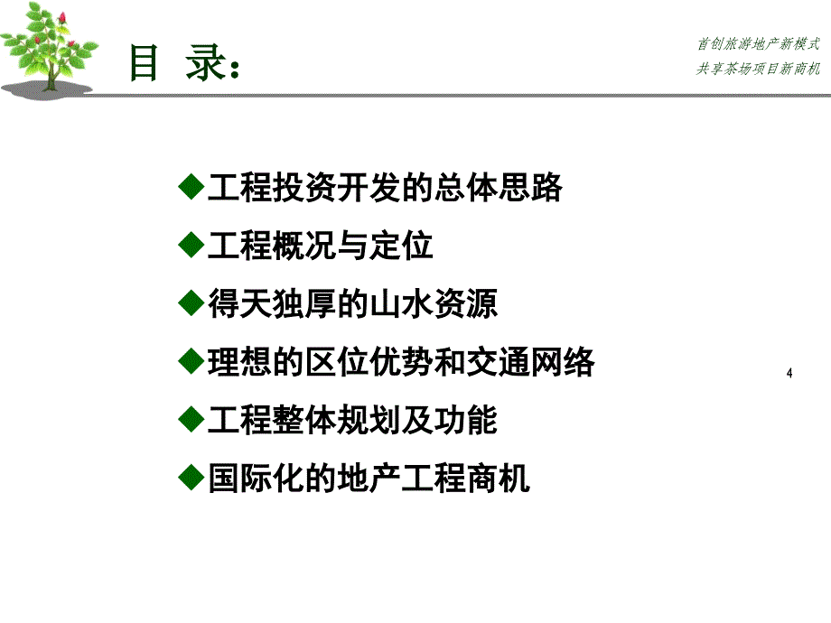 莲花茶场项目策划方案_第4页