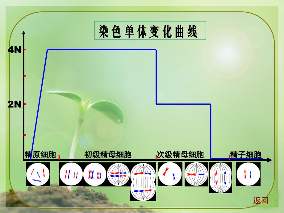 基因的染色体学说PPT课件_第3页