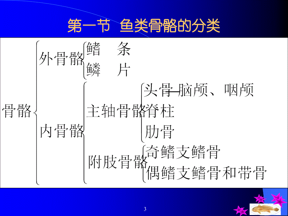 三章骨骼系统Theskeletalsystem_第3页