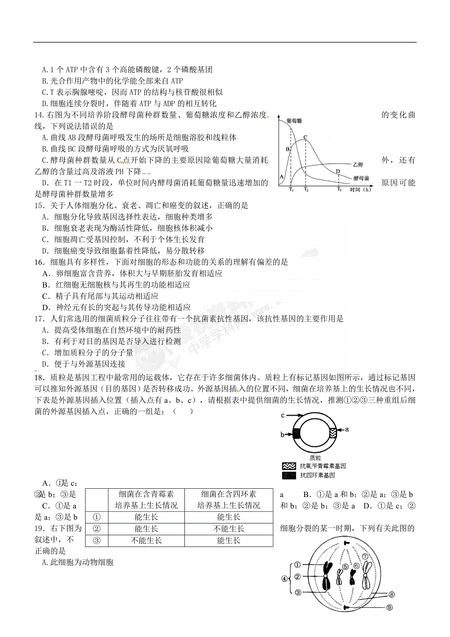 浙江省衢州一中2012届高三上学期期中考试生物试题.doc_第3页