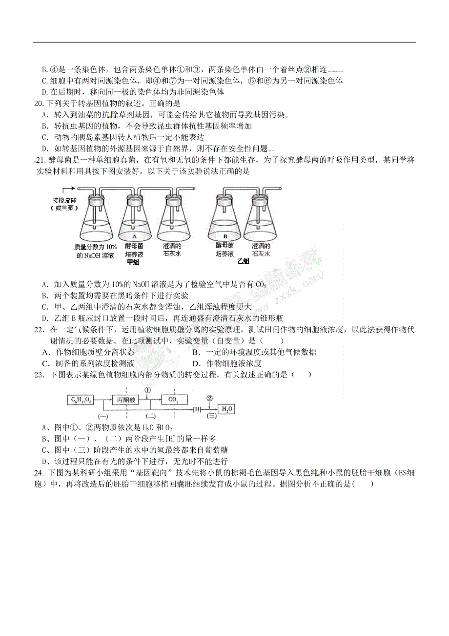 浙江省衢州一中2012届高三上学期期中考试生物试题.doc_第4页