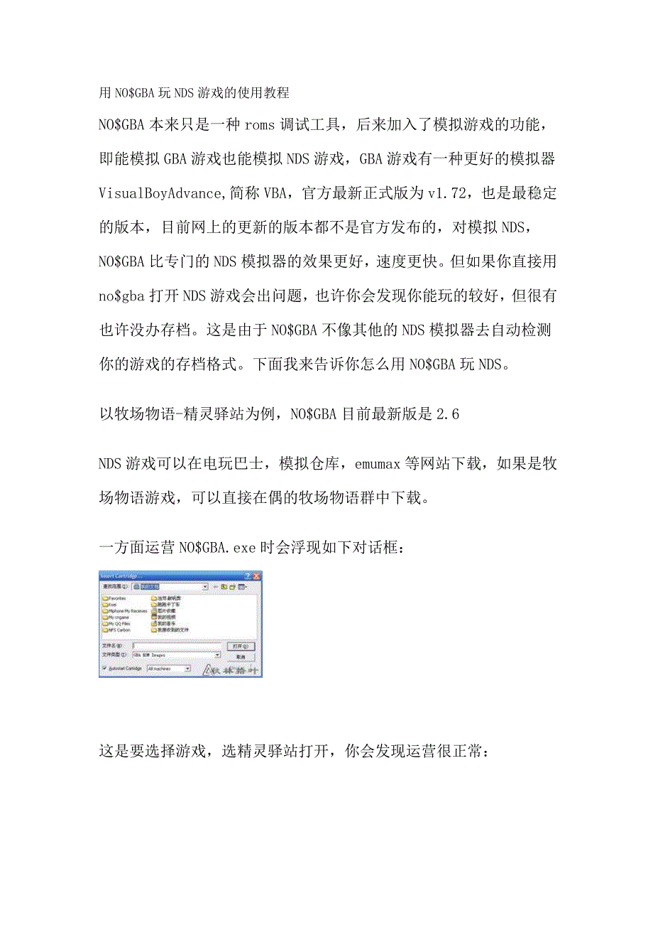 NDS模拟器使用教程_第1页