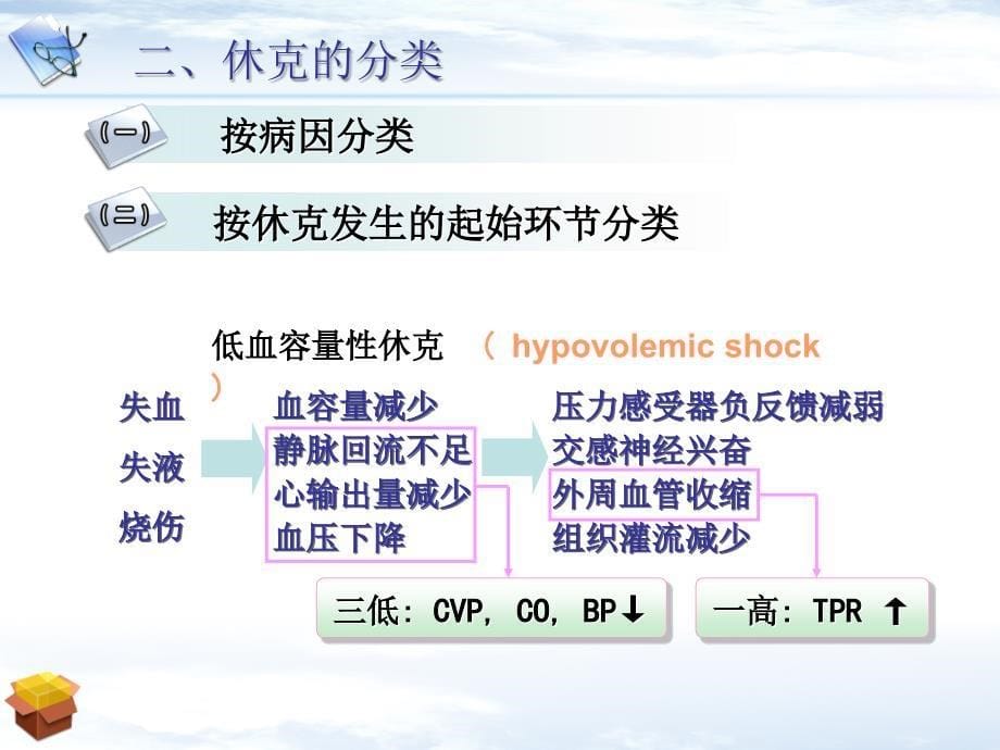 家兔失血性休克及抢救TL1_第5页