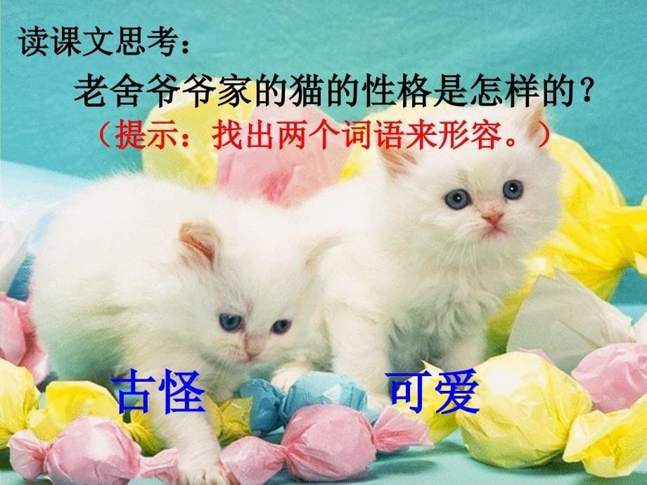 猫课件人教版四年级_第5页