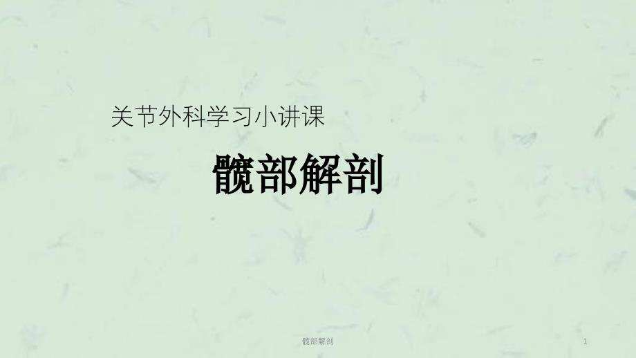 髋部解剖课件_第1页