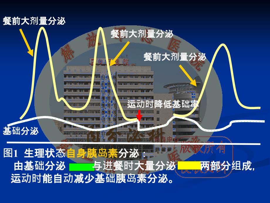 泵治疗的大剂量(马学毅)_第3页