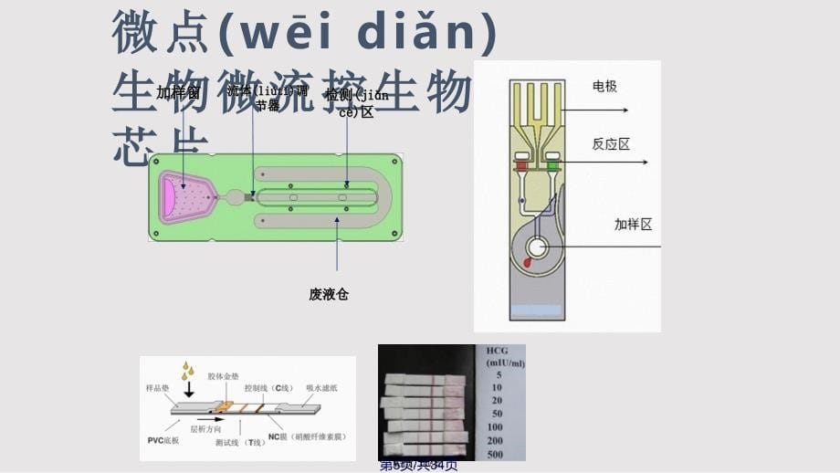 微流控芯片实用教案_第5页