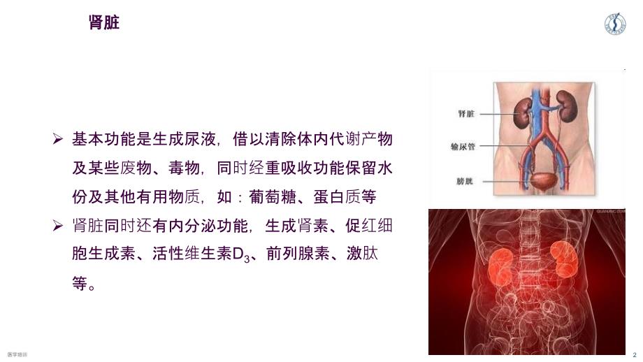 慢性肾脏病2ppt课件_第2页