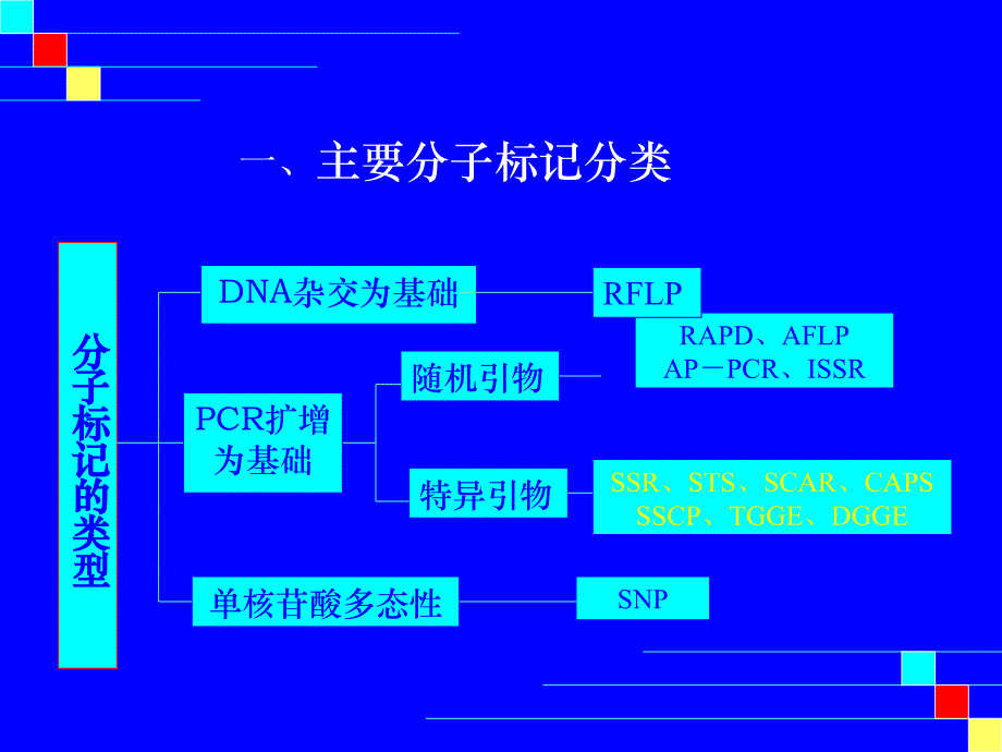 9基因定位方法_第2页