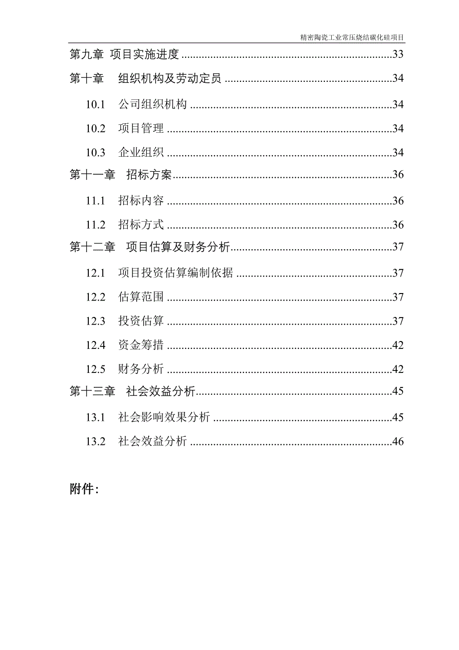 精密陶瓷工业常压烧结碳化硅项目可行性策划书.doc_第3页