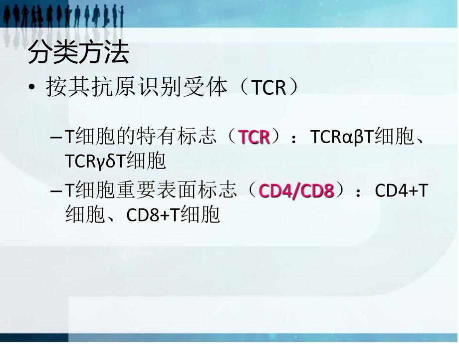 医学课件T淋巴细胞亚群及其临床意义_第3页