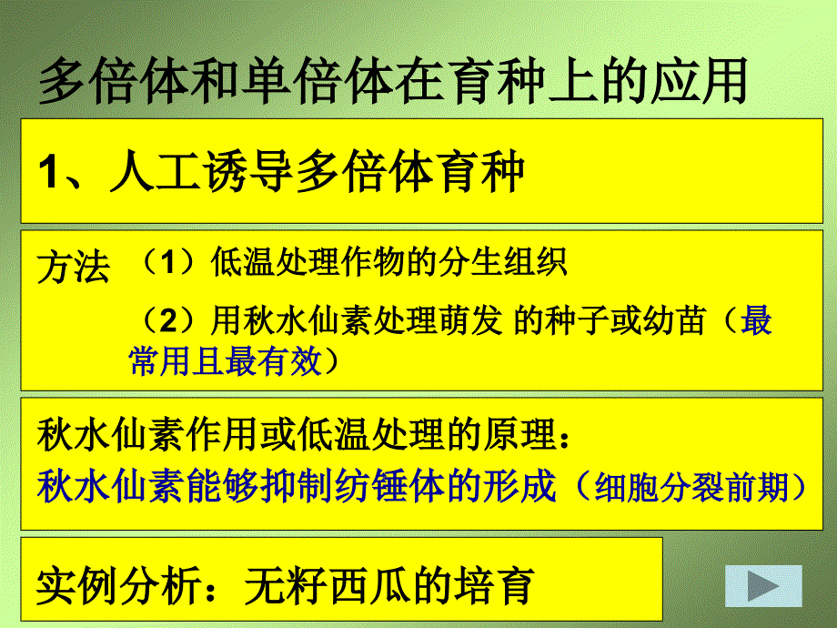 人教版教学课件单倍体育种多倍体育种_第2页