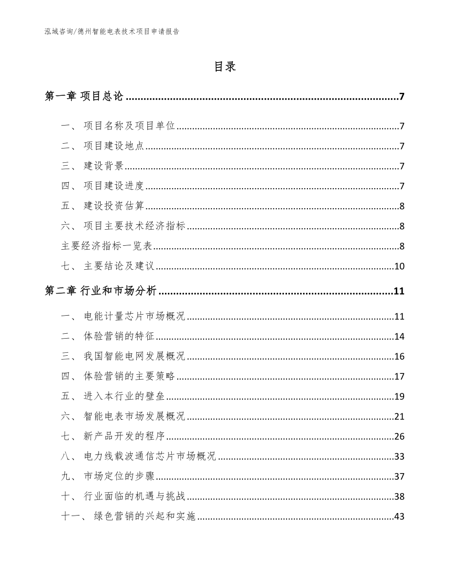 德州智能电表技术项目申请报告_第1页