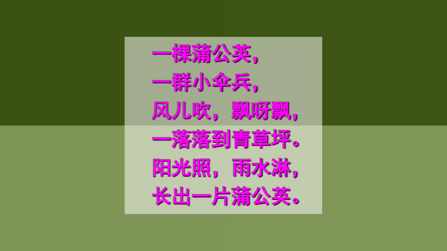 部编三年级16金色的草地_第2页