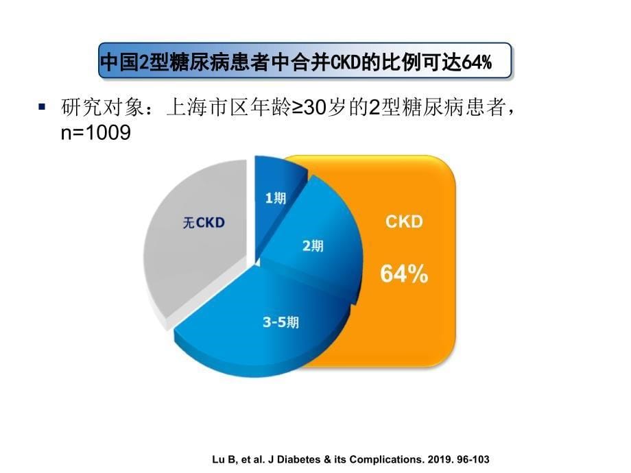 2型糖尿病合并慢性肾脏病患者口服降糖药用药原则(苏海华)课件_第5页