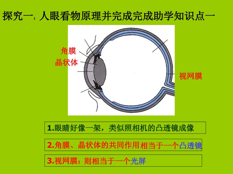 《眼睛和眼镜》PPT课件_第4页