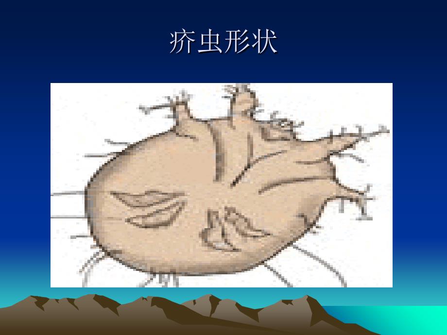 《动物性皮肤病》PPT课件_第2页