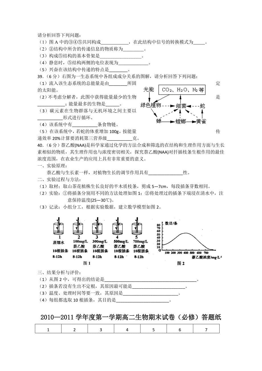 江苏省仪征中学10-11学年度高二生物上学期期末统考试题 必修.doc_第5页