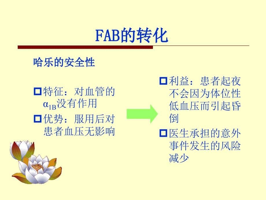 FAB竞争分析PPT课件_第5页