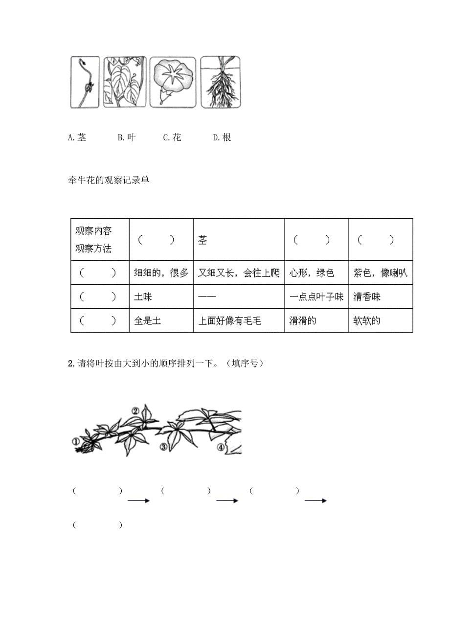 教科版科学一年级上册第一单元《植物》测试卷精品(历年真题).docx_第5页