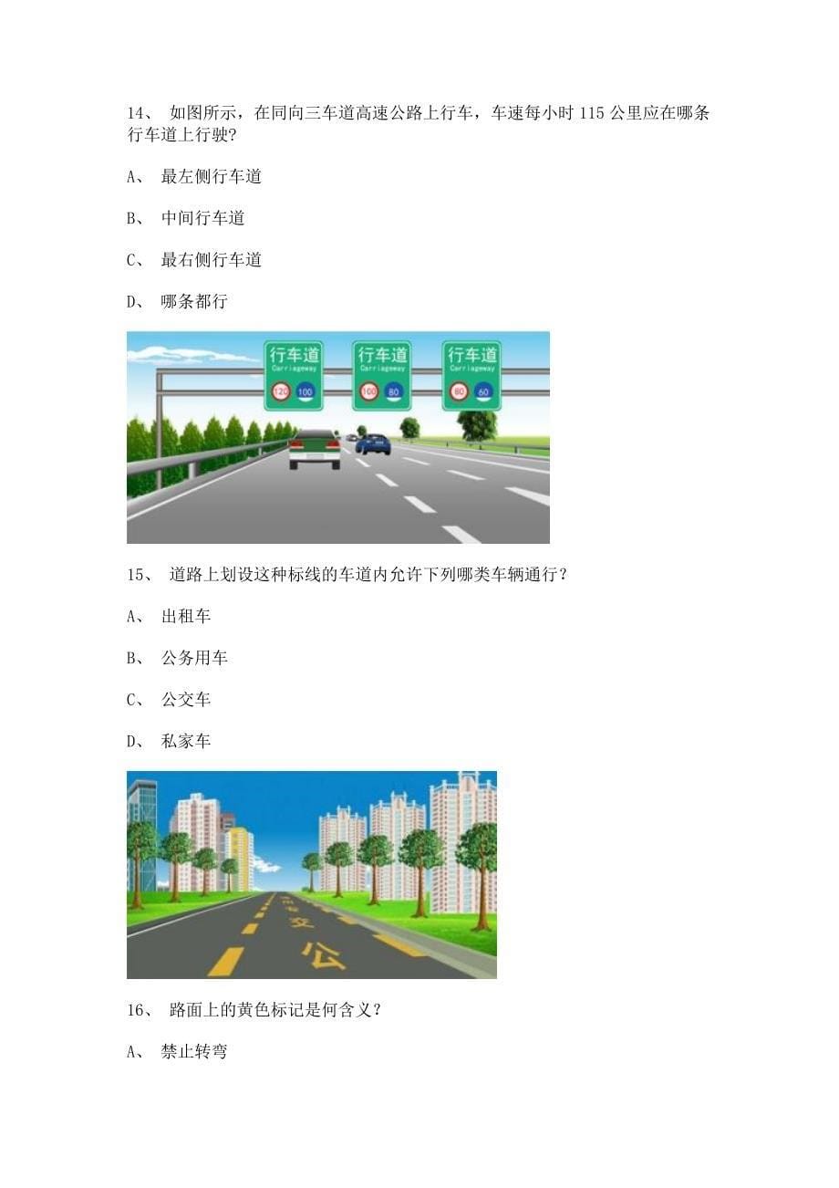 2012丽江市考试技巧重点C2车型仿真试题_第5页