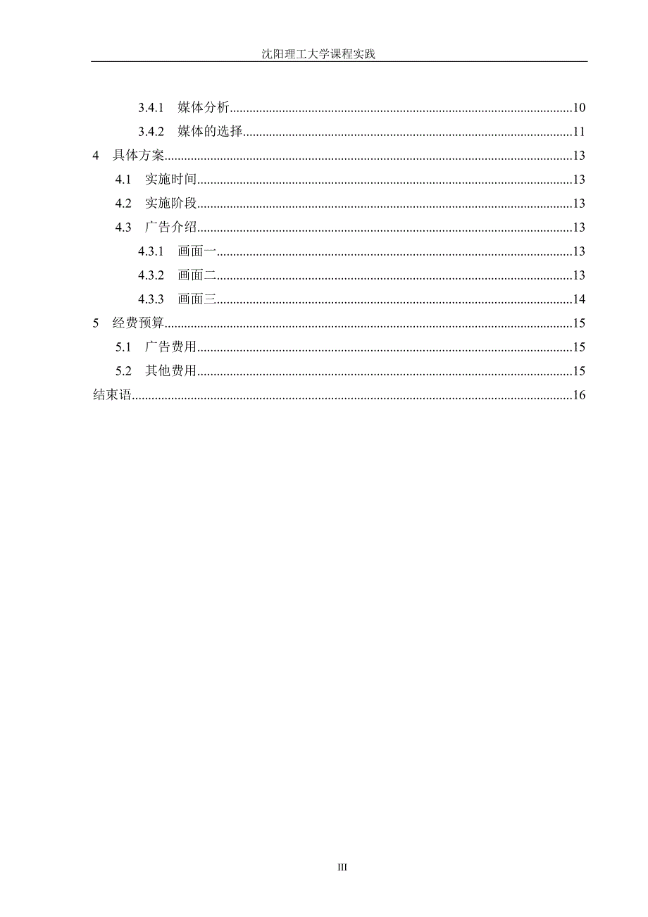 大学课程实践饮料公司广告策划书_第3页