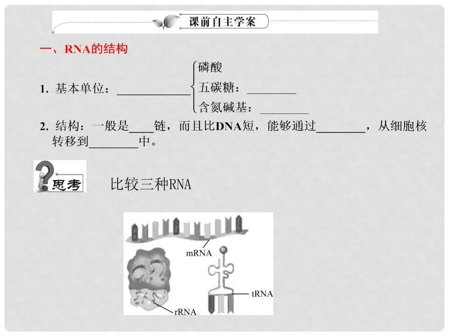 高考生物 第4章 基因的表达总复习课件 新人教版_第5页