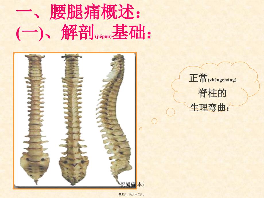 腰腿痛本课件_第3页