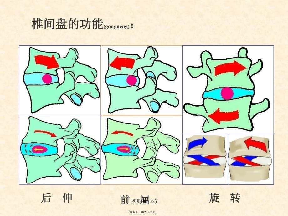 腰腿痛本课件_第5页