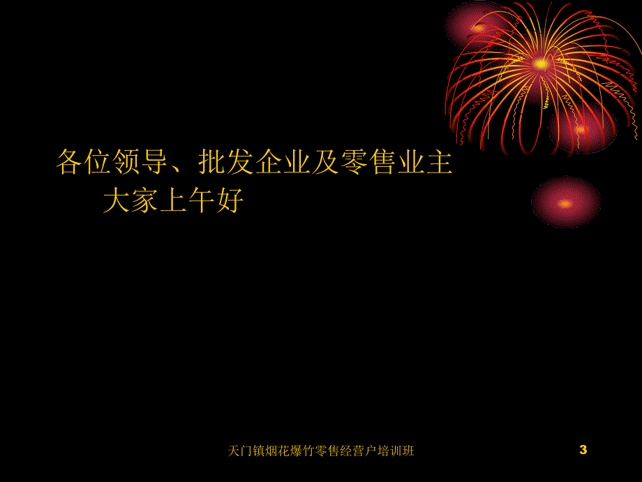 天门镇烟花爆竹零售经营户培训班课件_第3页